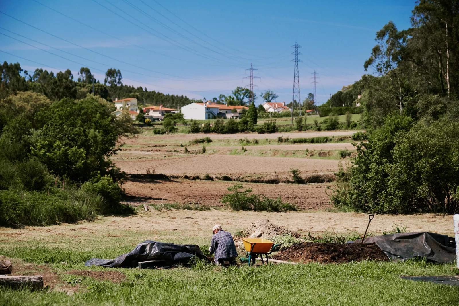 the farm, wide