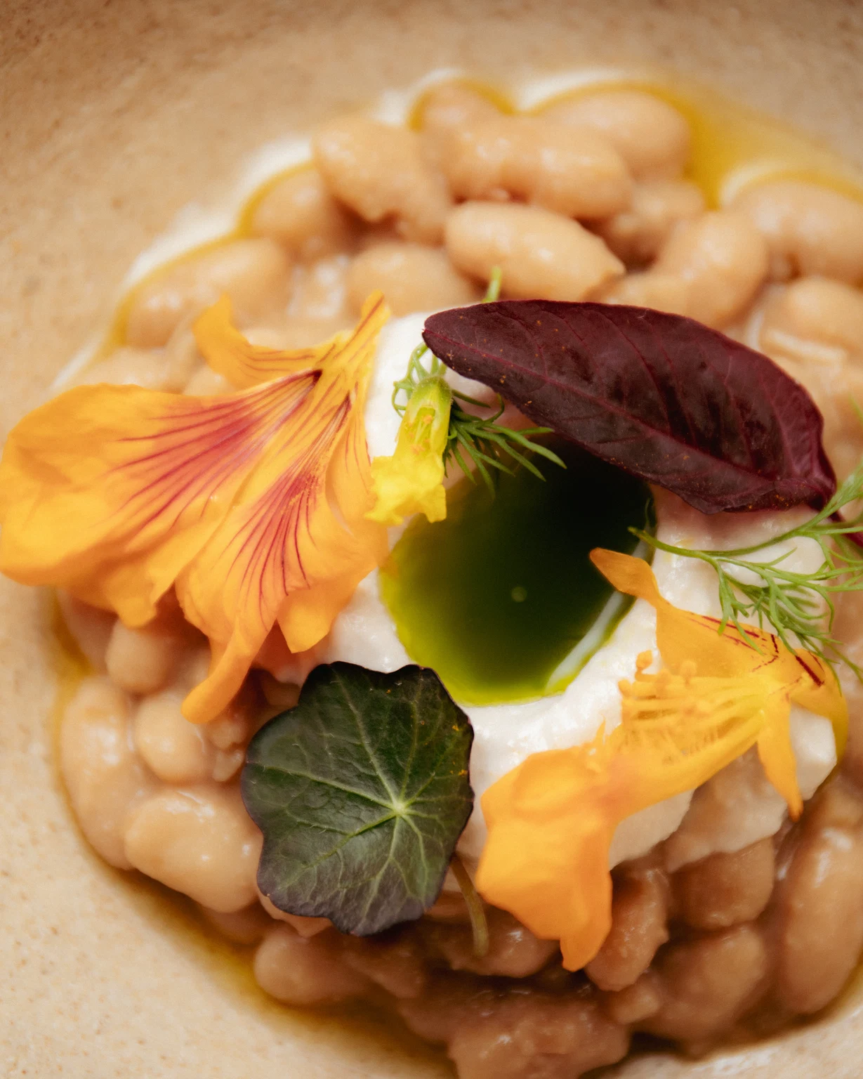 fermented beans 2 · detail · close-up