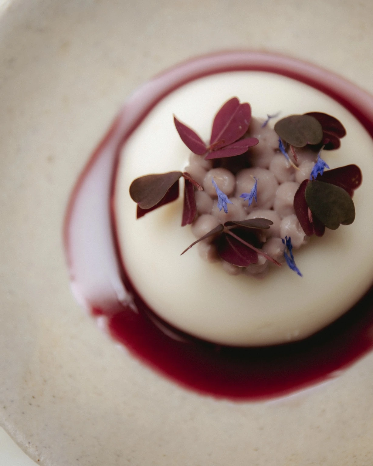 panna cotta 2 · detail · hibiscus