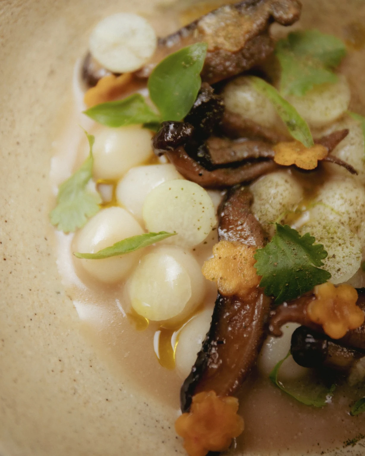 tom kha 2 · detail · broth