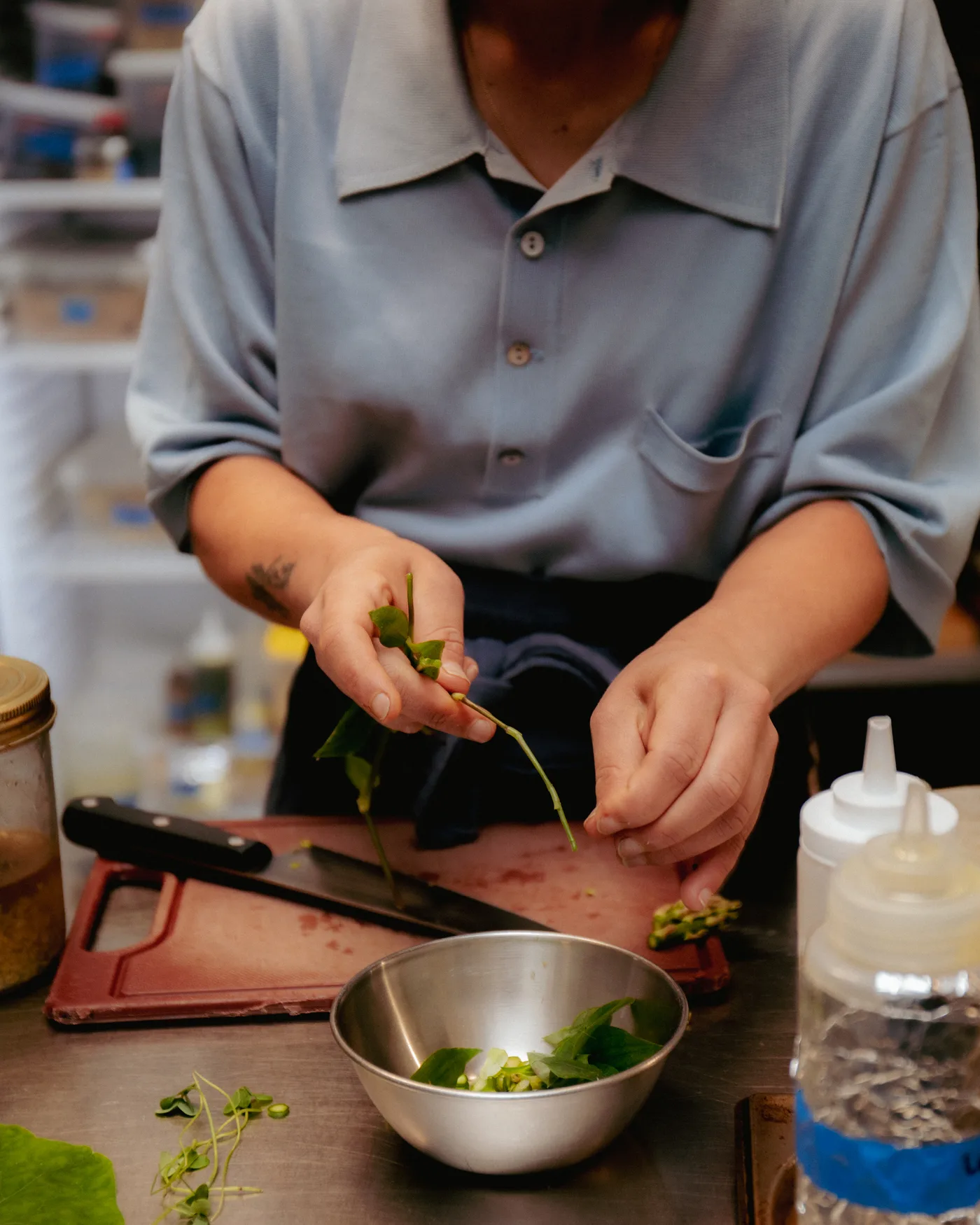 hands finishing a dish, VENN kitchen