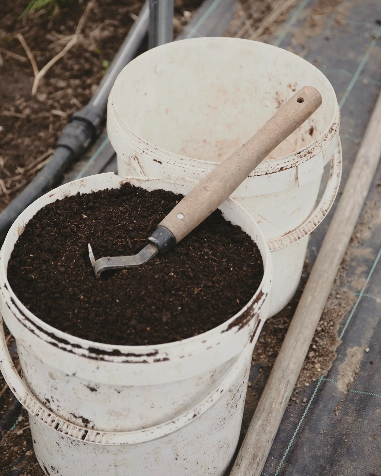 soil and trowel, farm