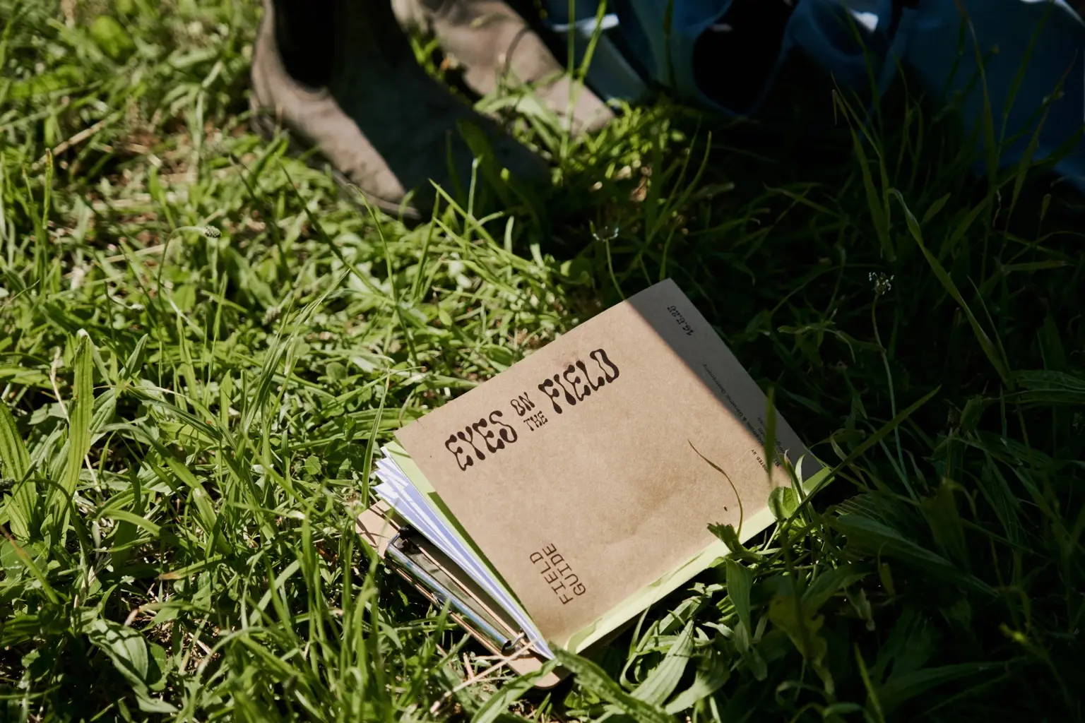 Eyes on the Field publication