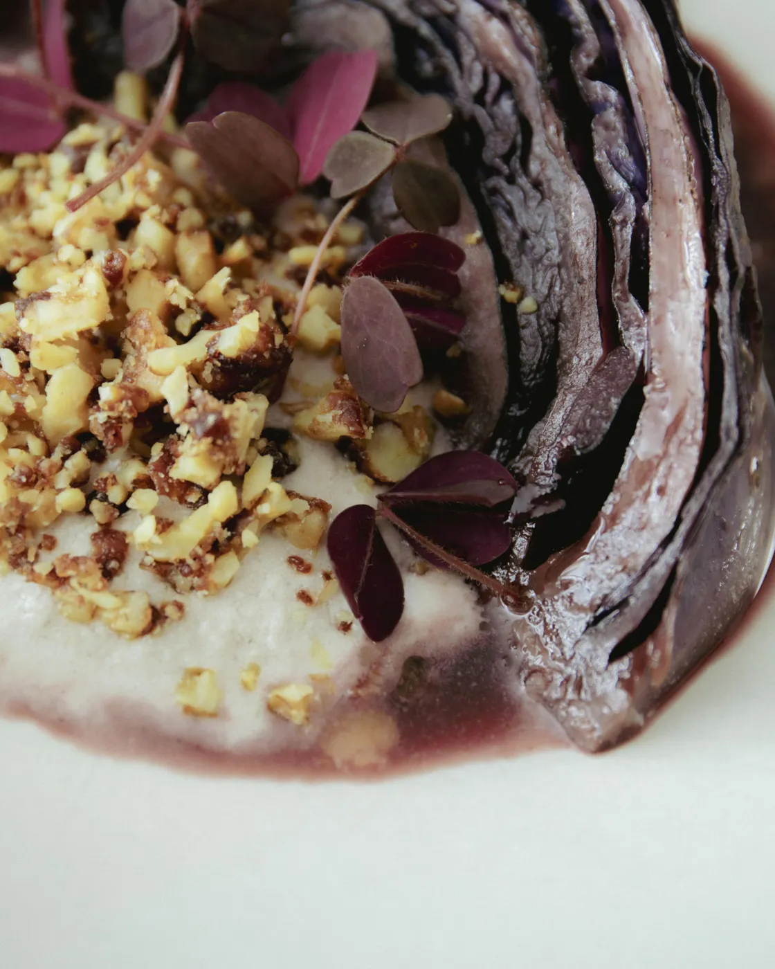 hibiscus and red wine sauce