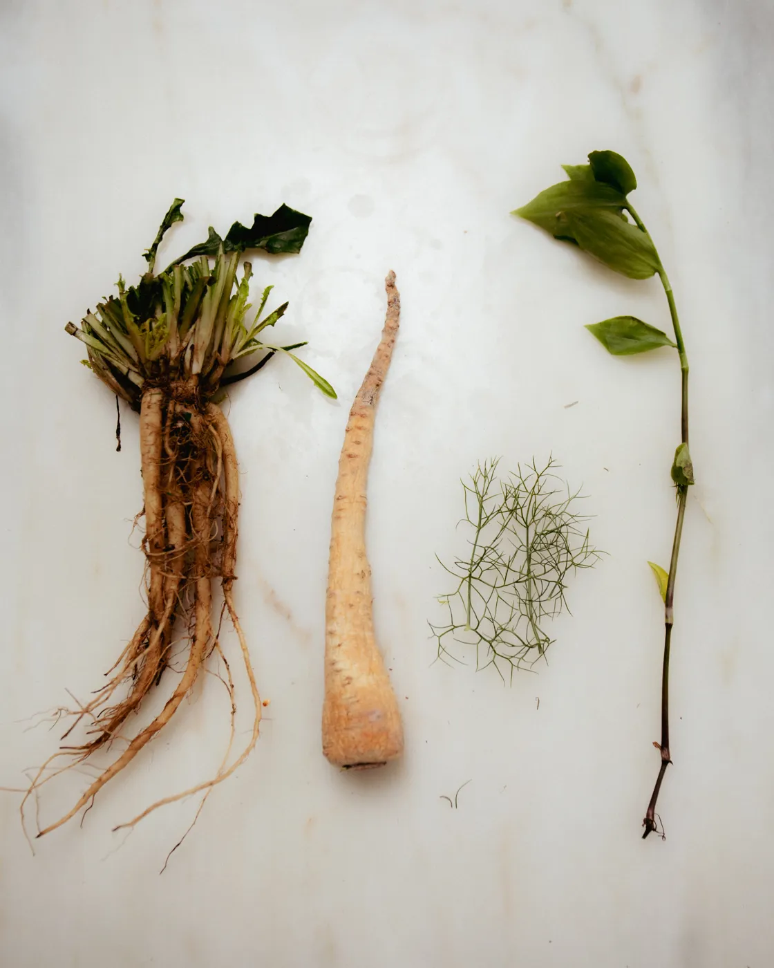 roots and trimmings on the board