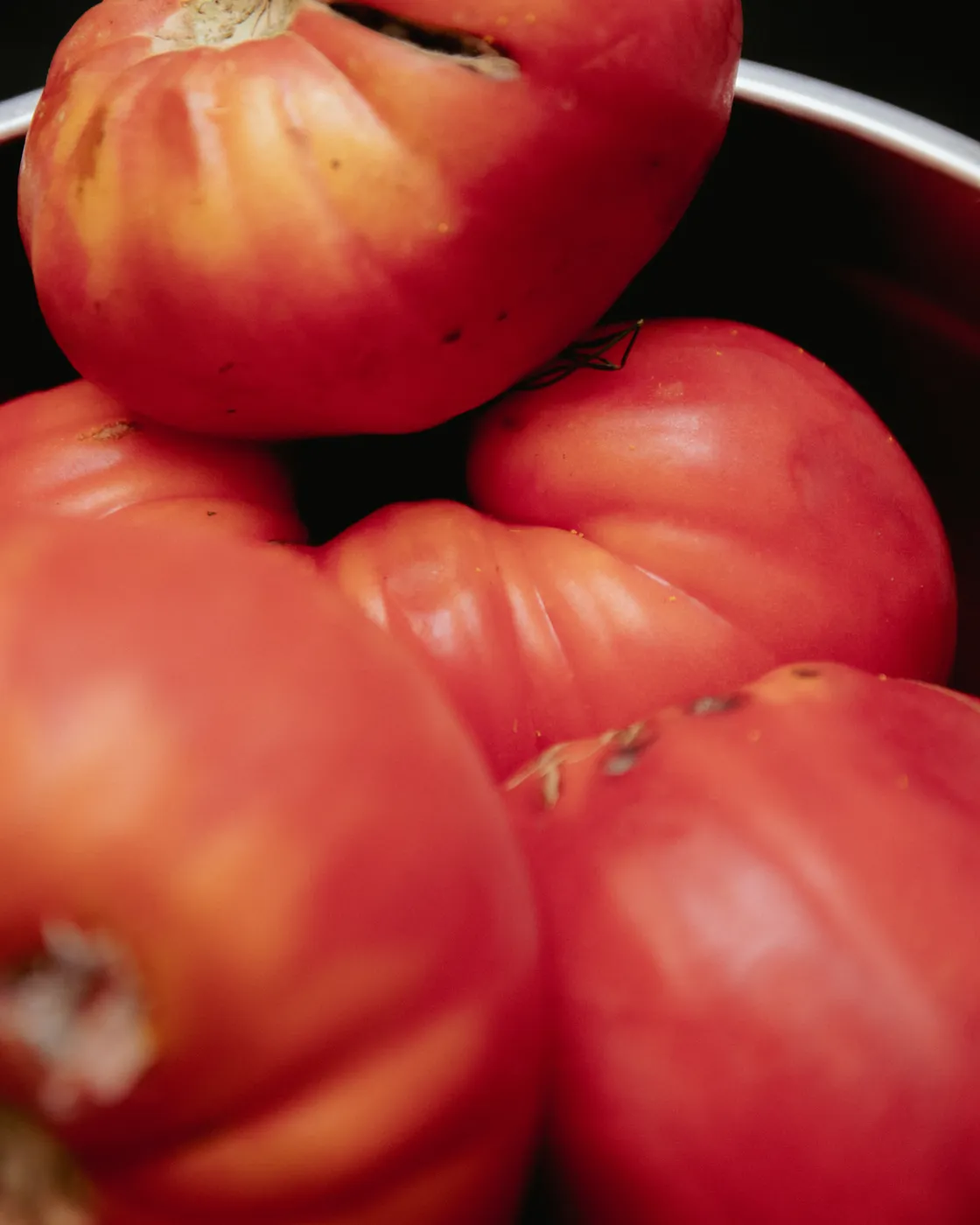 tomatoes