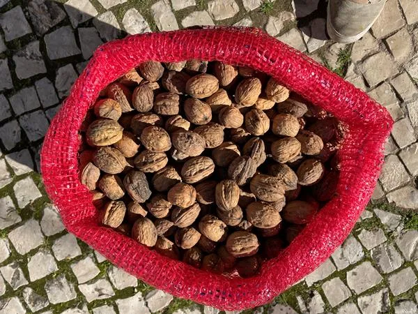 walnuts