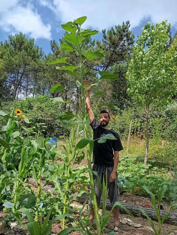 Agroflorestal dos Corotos