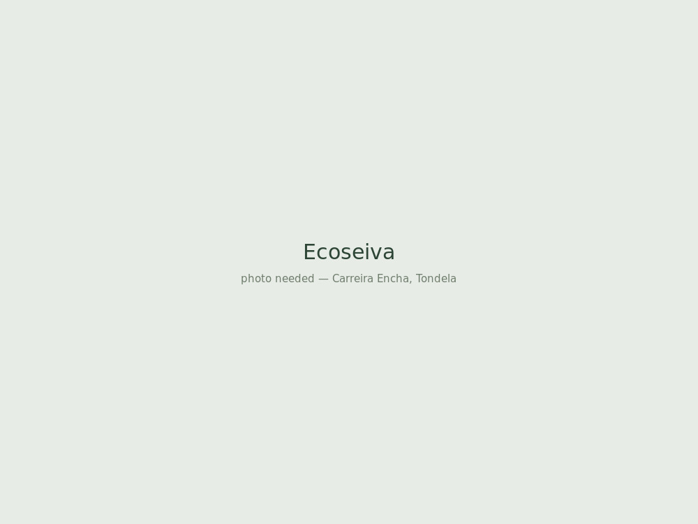 Ecoseiva